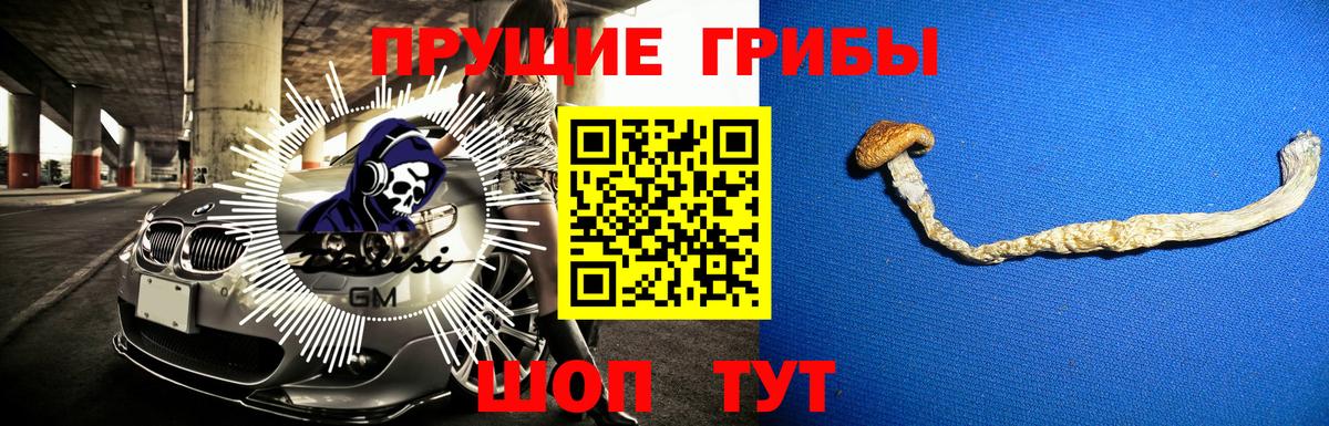 Псилоцибиновые грибы мухоморы  Вход с VPN  Мыски 